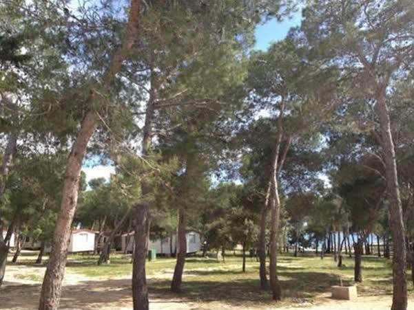 Camp Porat Ξενοδοχείο Povljana Εξωτερικό φωτογραφία